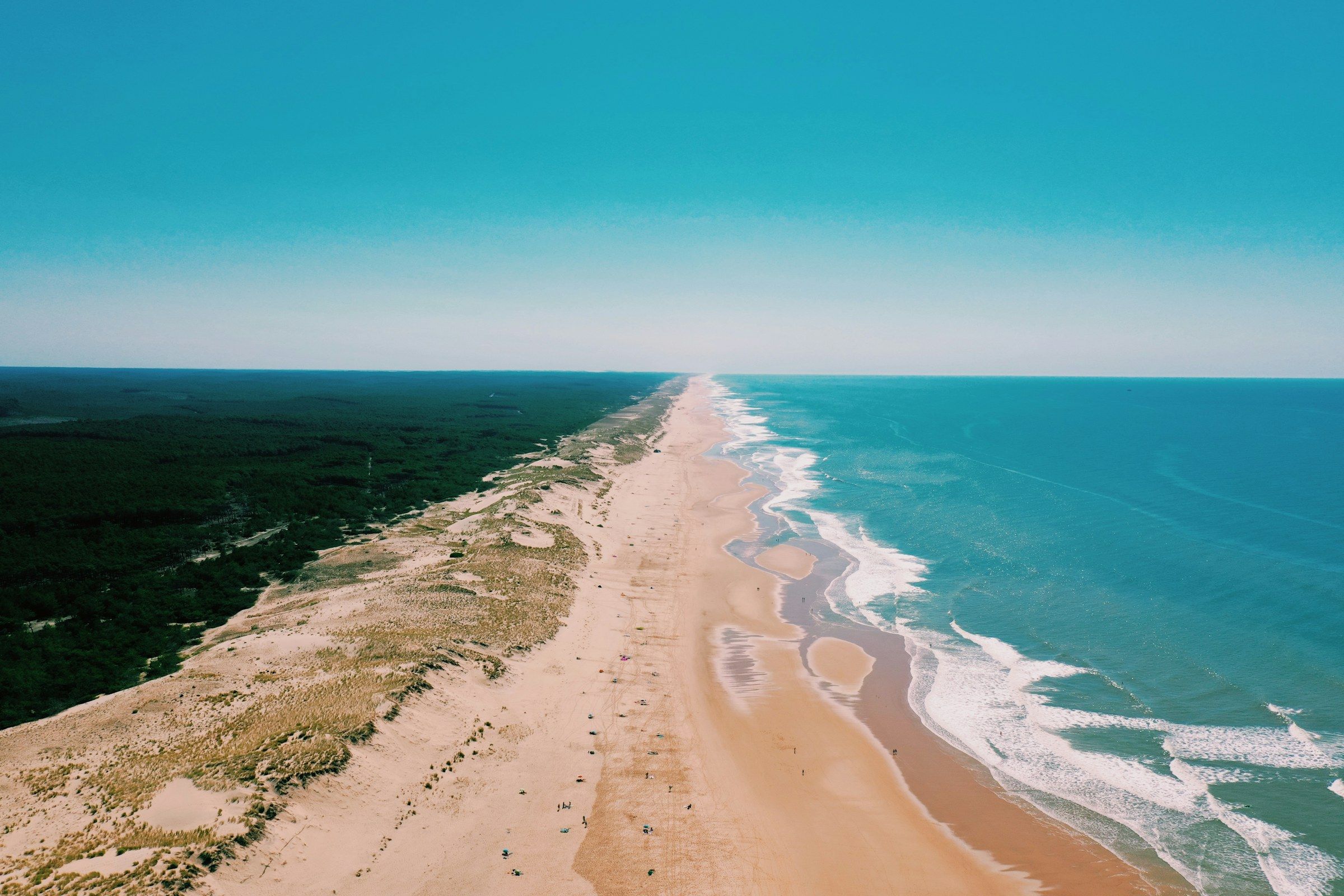 Vue aérienne d'une longue plage rectiligne bordée de forêt