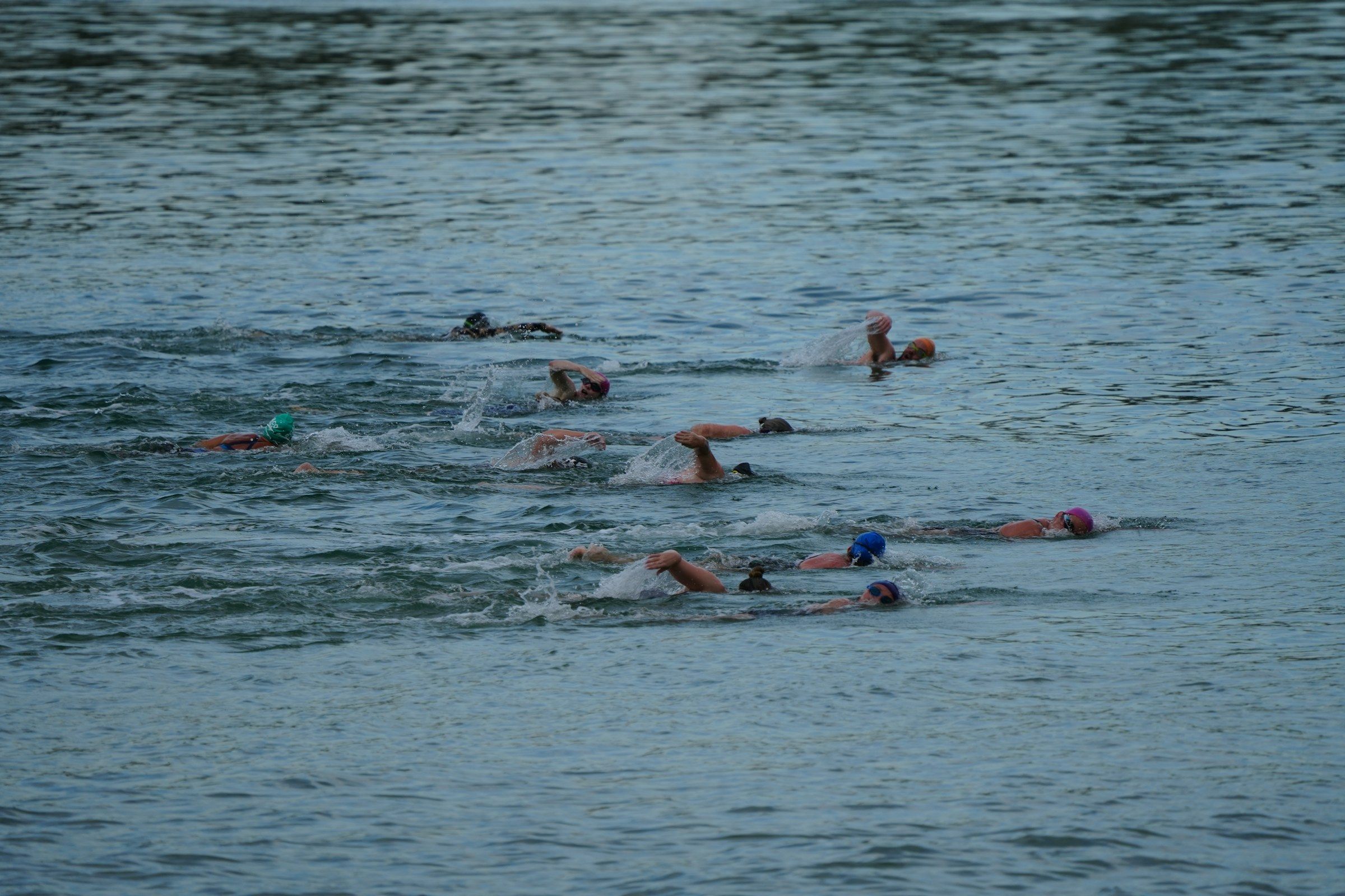 Un groupe de nageurs en pleine mer